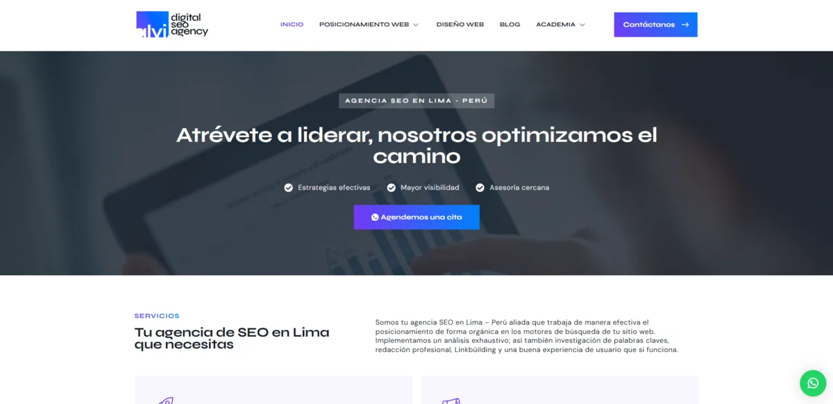 Home page of Alvi Digital, an SEO agency in Peru