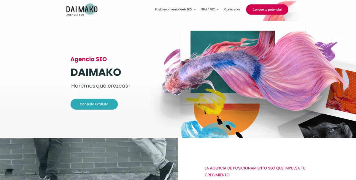 Home page of Daimako, an SEO agency in Valencia