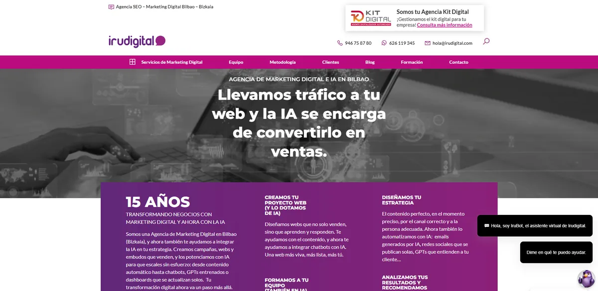 Home page of Irudigital, an SEO agency in Bilbao