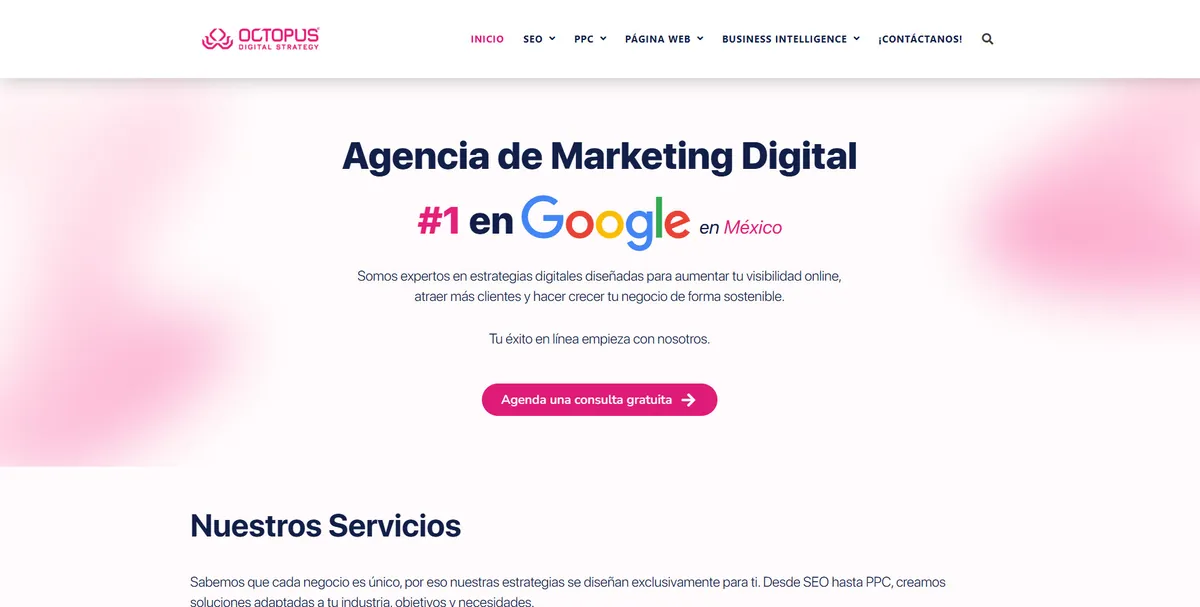 Home page of Octopus, an SEO agency in Mexico