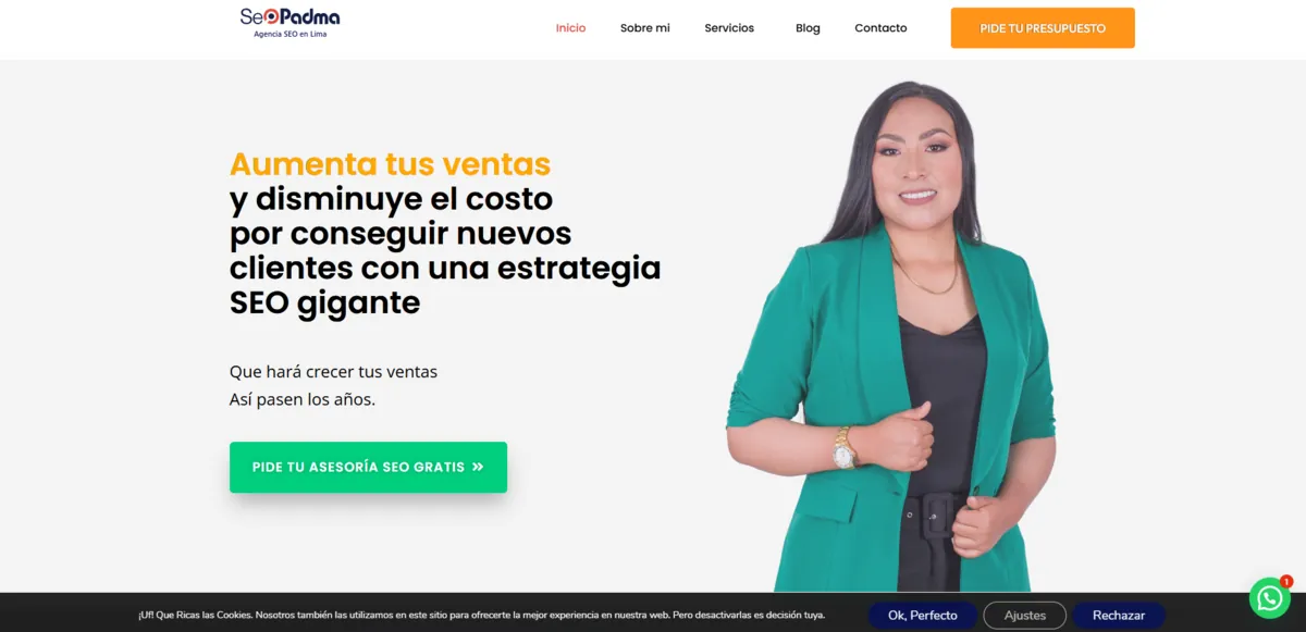 Home page of SEO Padma, an SEO agency in Peru