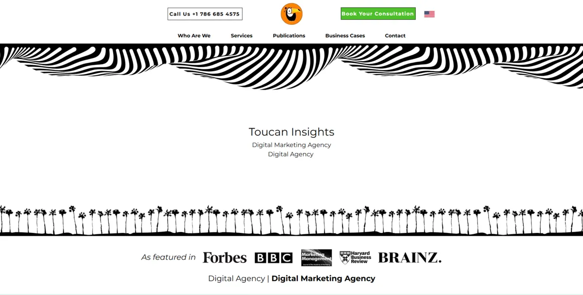 Home page of Toucan Insights, an SEO agency in New York