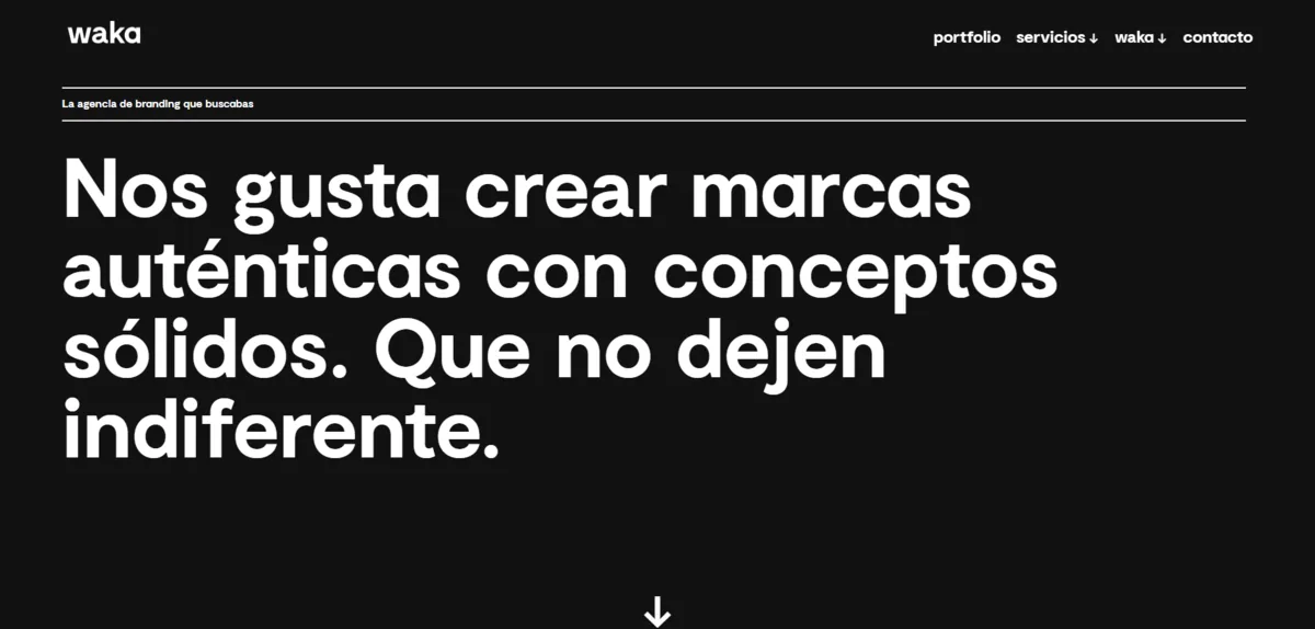 Home page of Waka Agency, a digital marketing agency in Madrid